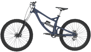 {{bike.name}}